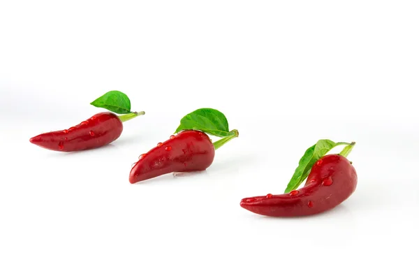 Tre hoade Chilipeppar — Stockfoto