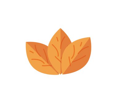 tütün vektör illüstrasyon