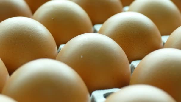 Коричневые яйца в коробке — стоковое видео