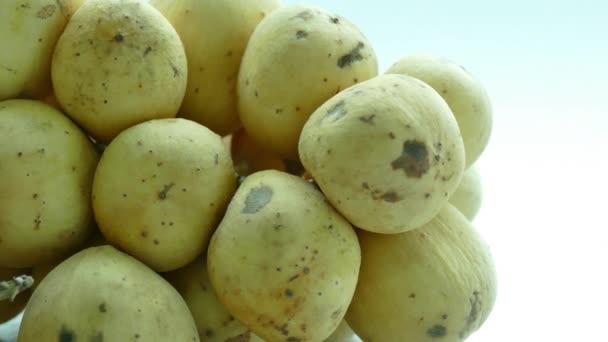 Clusters lanzones fruit on table — Stock Video