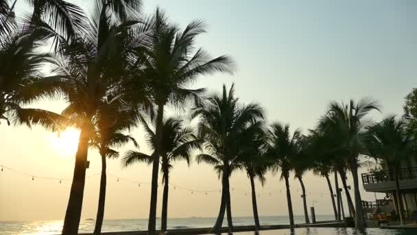 Coucher de soleil sur la plage et la mer — Video