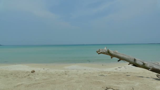 Hermosa isla de Maldivas con océano — Vídeos de Stock