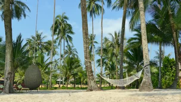 Spiaggia tropicale nell'isola di Maldive — Video Stock