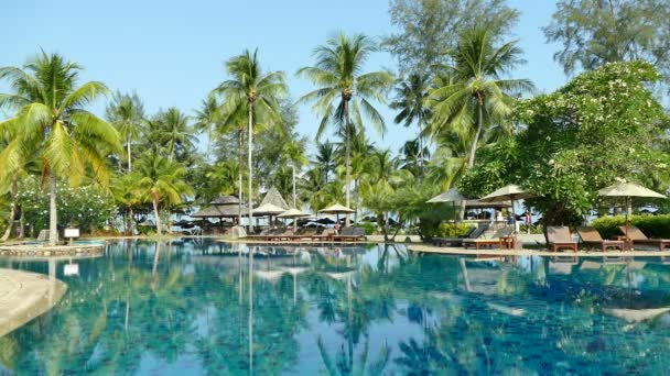 Piscine à l'hôtel — Video