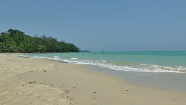 Belle île des Maldives avec océan — Video