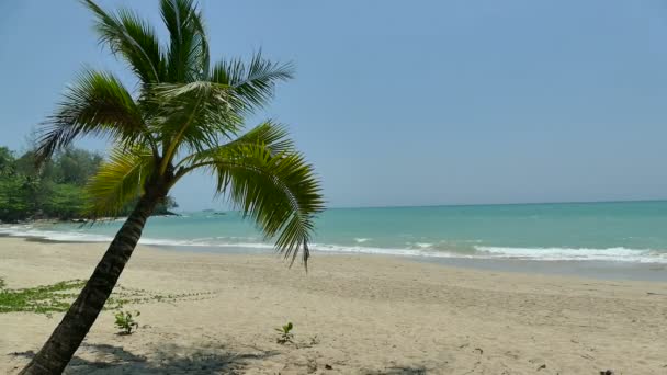 Onde del mare rotolano sulla spiaggia — Video Stock