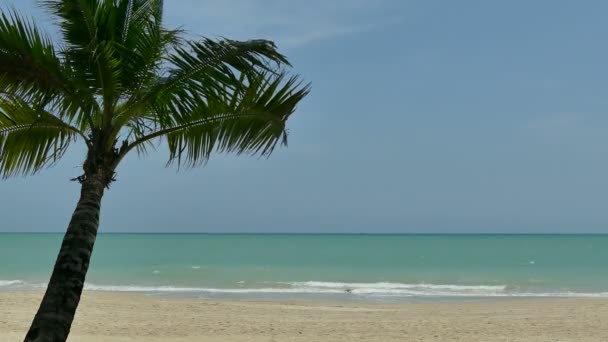 Onde del mare rotolano sulla spiaggia — Video Stock