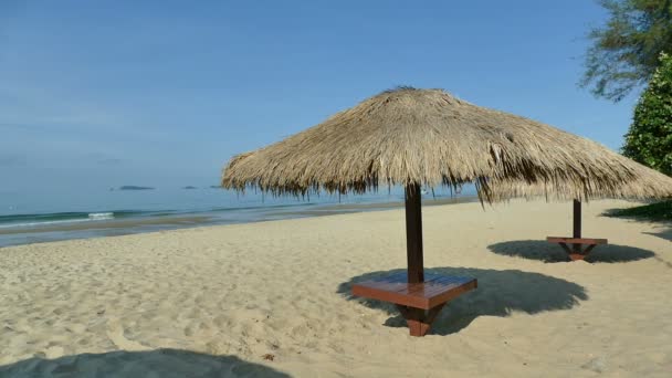 Umbrellas on tropical beach — Stock Video