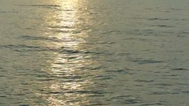 Solnedgång på stranden och havet — Stockvideo