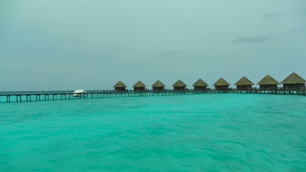 Beautiful Maldives island with ocean — Stock Video