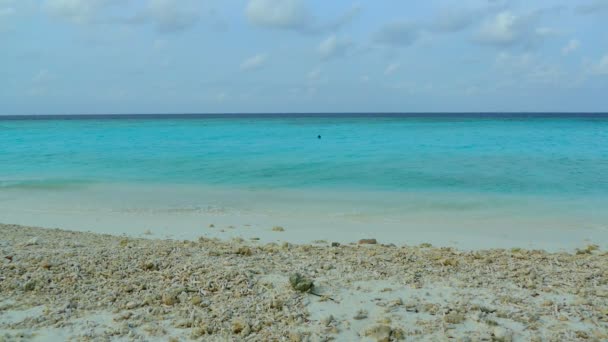 Pięknej wyspie Maldives Ocean — Wideo stockowe