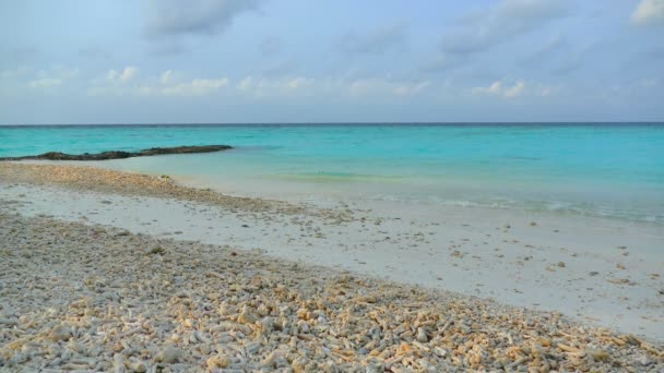 Belle île des Maldives avec océan — Video