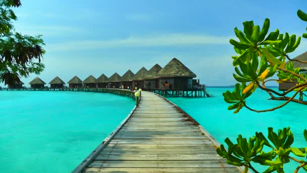 Красивый Мальдивский остров с океаном — стоковое видео