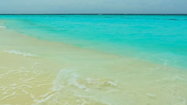 Bella isola delle Maldive con oceano — Video Stock