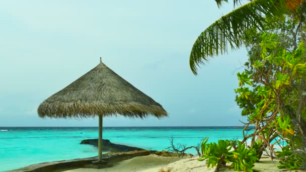 Umbrella on Maldives island — Stock Video
