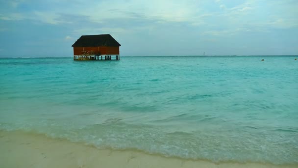 Hermosa isla de Maldivas con océano — Vídeos de Stock