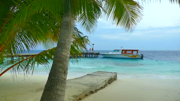 Wunderschöne Malediven Insel mit Meer — Stockvideo