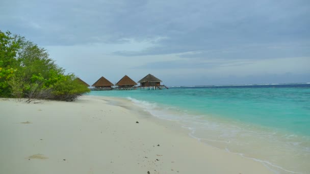 Hermosa isla de Maldivas con océano — Vídeos de Stock