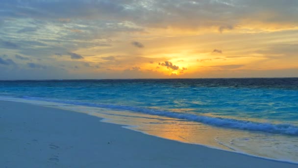 Spiaggia tropicale nell'isola di Maldive — Video Stock