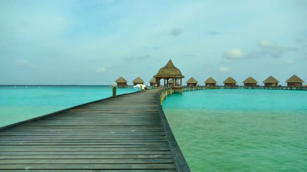 Bella isola delle Maldive con oceano — Video Stock