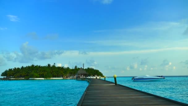 Hermosa isla de Maldivas con océano — Vídeos de Stock