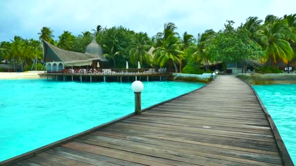 Bella isola delle Maldive con oceano — Video Stock