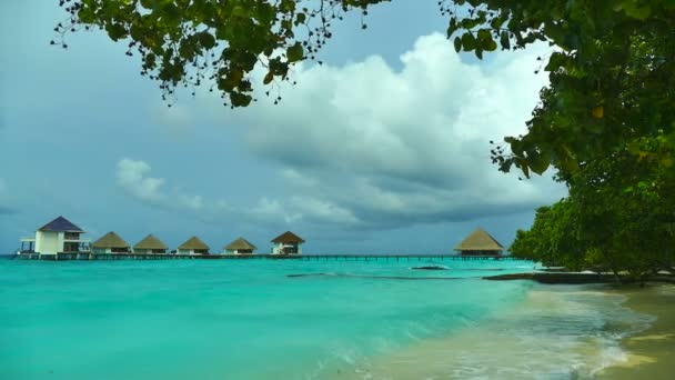 Bela ilha das Maldivas com oceano — Vídeo de Stock