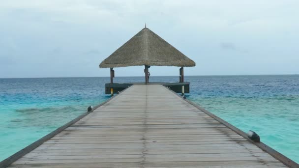 Bella isola delle Maldive con oceano — Video Stock