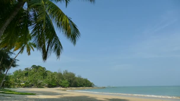 Hermosa isla de Maldivas con océano — Vídeo de stock