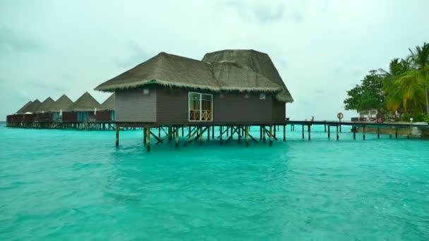 Hermosa isla de Maldivas con océano — Vídeos de Stock