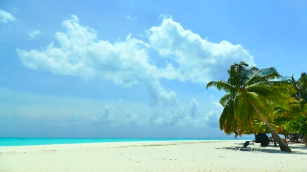 Liegestühle mit Meer und Strand — Stockvideo