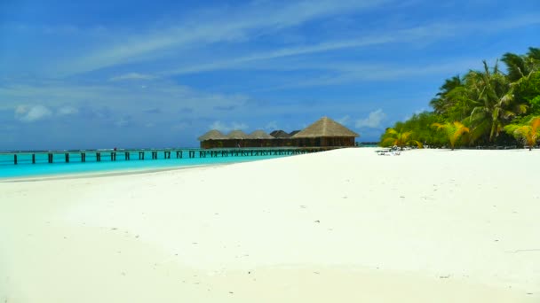 Hermosa isla de Maldivas con océano — Vídeo de stock