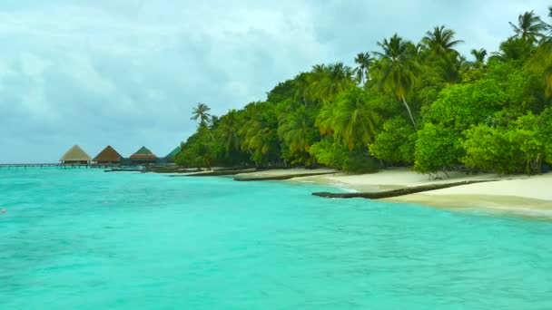 Hermosa isla de Maldivas con océano — Vídeos de Stock
