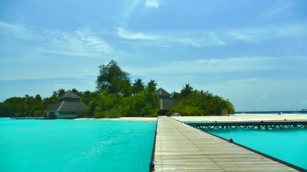 Bella isola delle Maldive con oceano — Video Stock