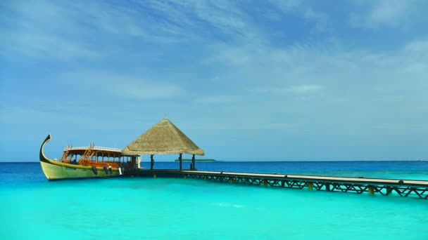 Bella isola delle Maldive con oceano — Video Stock