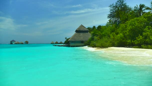 Bella isola delle Maldive con oceano — Video Stock