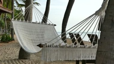 tropikal Maldivler ada Beach'de