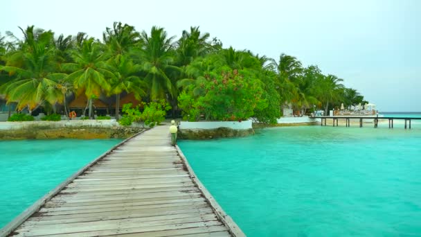 Hermosa isla de Maldivas con océano — Vídeos de Stock