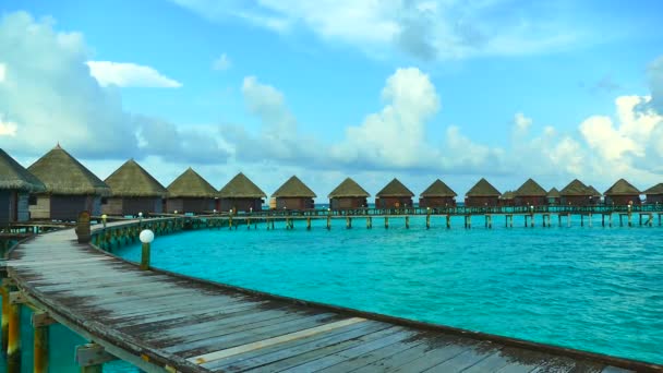 Bella isola delle Maldive con oceano — Video Stock