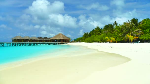 Bella isola delle Maldive con oceano — Video Stock