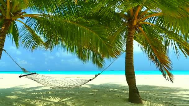 Тропический пляж на Мальдивах — стоковое видео