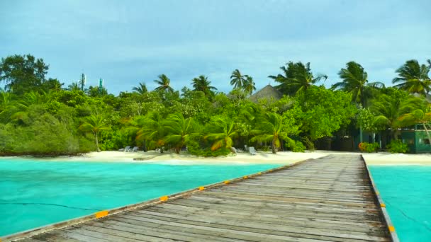 Hermosa isla de Maldivas con océano — Vídeos de Stock