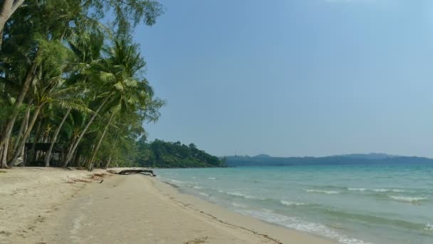 Wunderschöne Malediven Insel mit Meer — Stockvideo