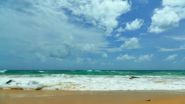 Hermosa isla de Maldivas con océano — Vídeos de Stock