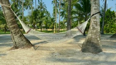 tropikal Maldivler ada Beach'de