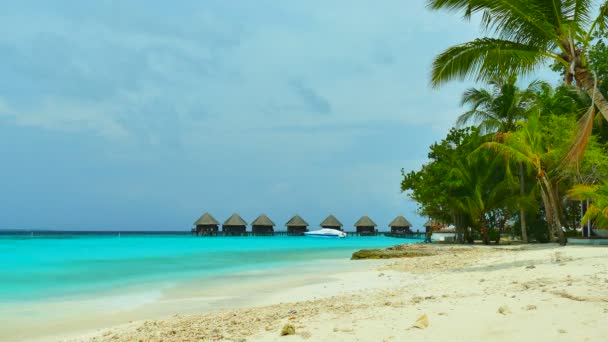 समुद्र के साथ सुंदर मालदीव द्वीप — स्टॉक वीडियो