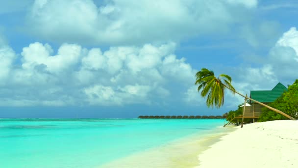 Hermosa isla de Maldivas con océano — Vídeos de Stock