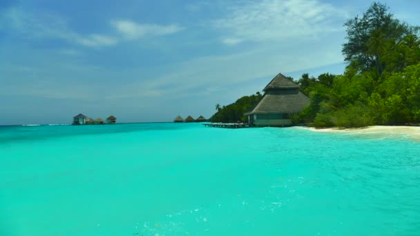바다와 함께 아름 다운 몰디브 섬 — 비디오