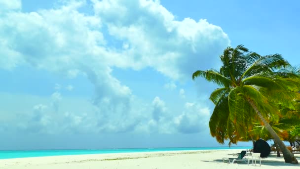Tumbonas con mar y playa — Vídeo de stock