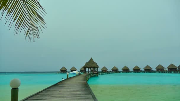 Belle île des Maldives avec océan — Video